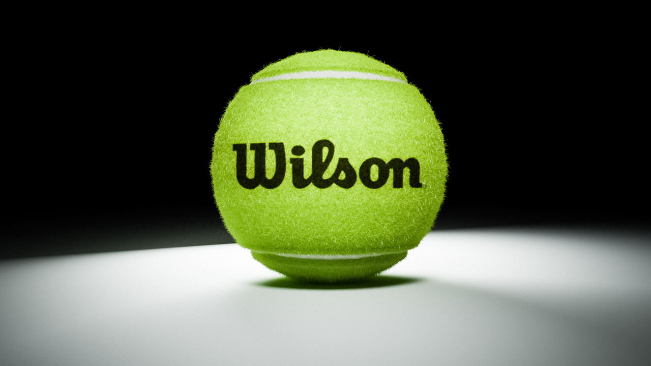Wilson tennis ball